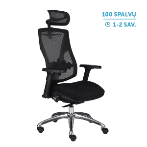 Ergonominė darbuotojo kėdė Futura 4S Plus