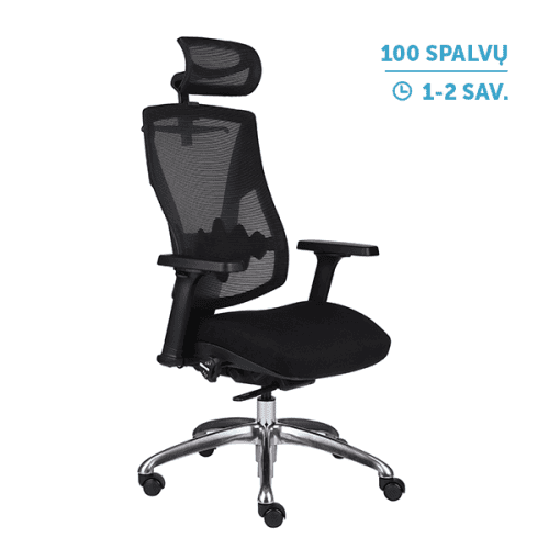 Ergonominė darbuotojo kėdė Futura 4S Plus
